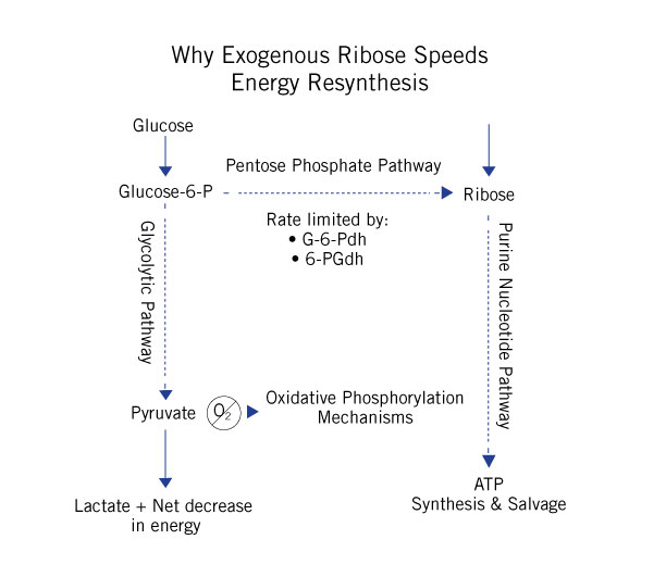 Corvalen Energy Resynthesis